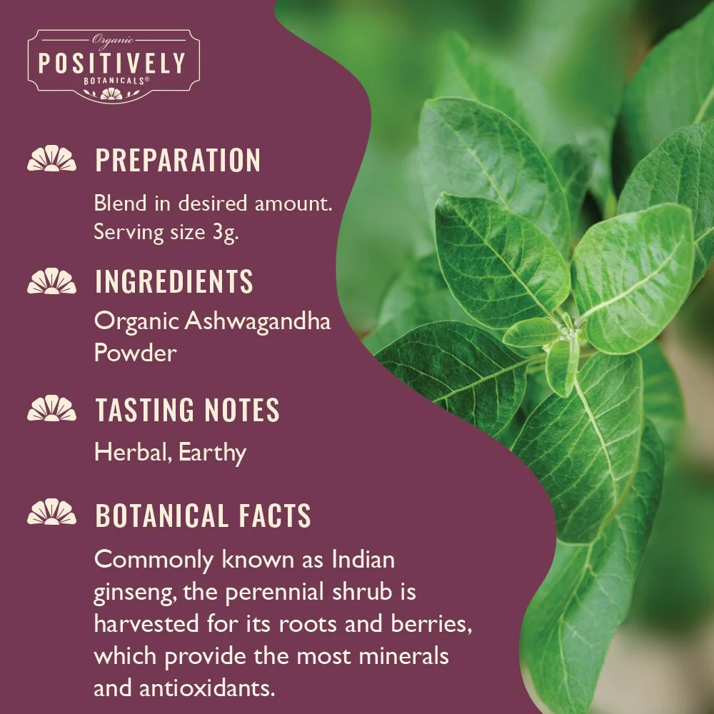 Organic Ashwagandha - Botanical Tea Bags - Image 4