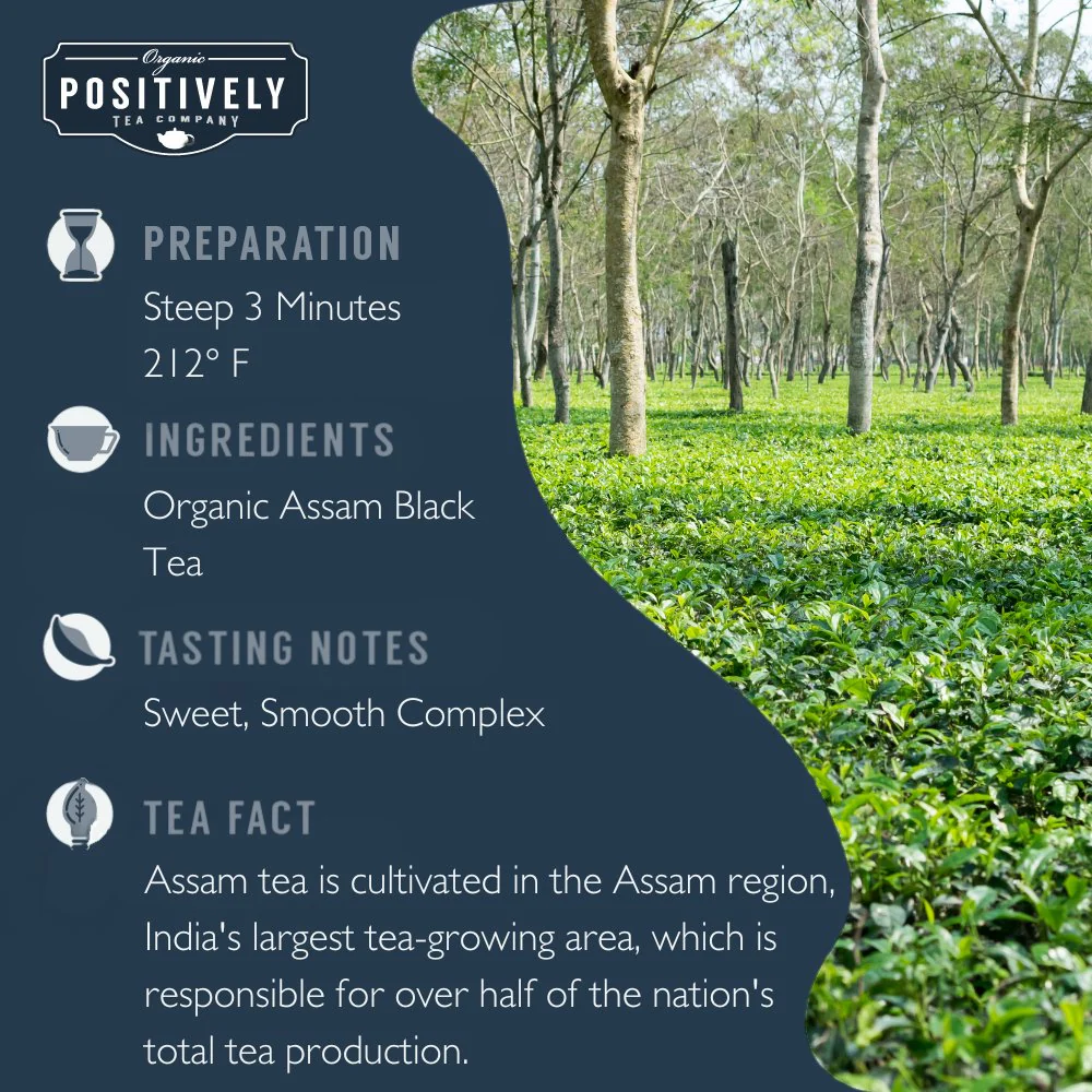 Organic Assam - Tea Bags - Image 5