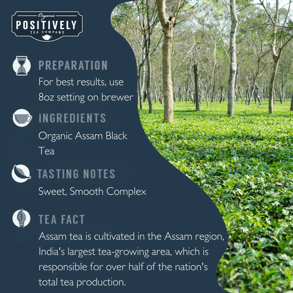 Organic Assam - Classic Tea Pods - Image 7