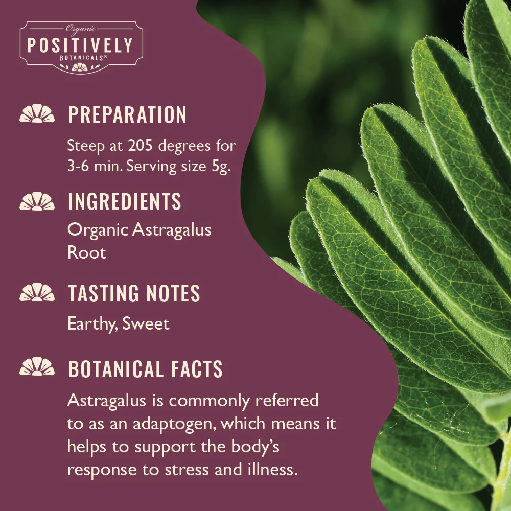 Organic Astragalus Root - Loose Leaf Botanical - Image 5