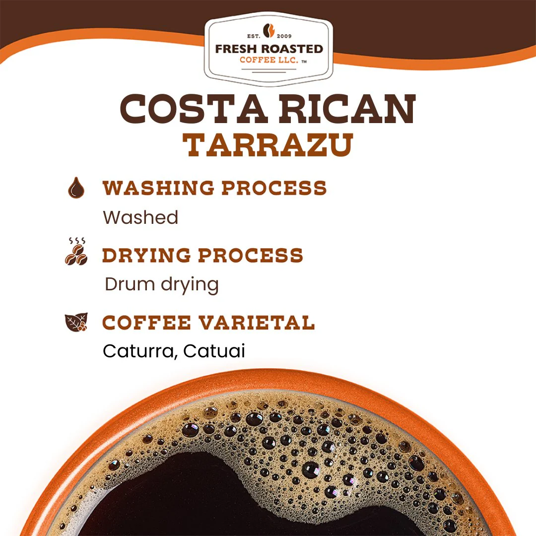 Costa Rican Tarrazu - Roasted Coffee - Image 11