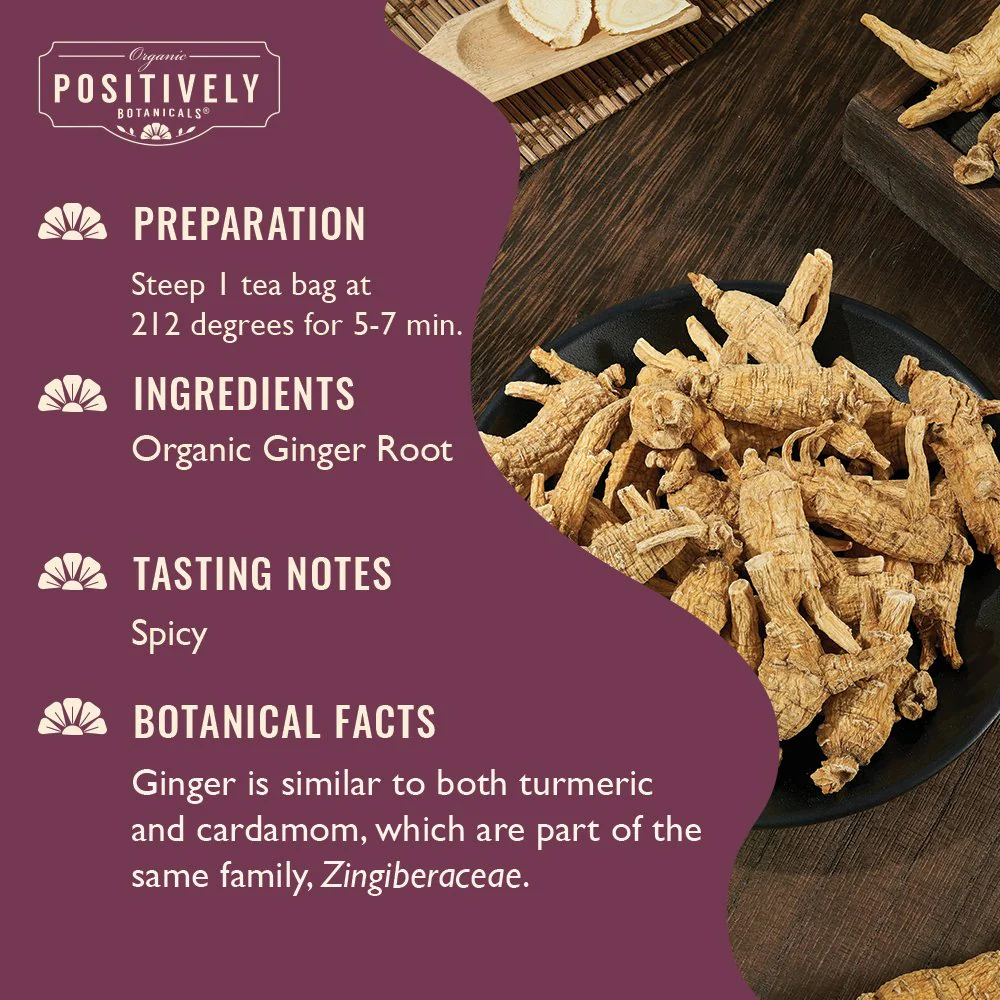 Organic Ginger Root - Botanical Tea Bags - Image 4