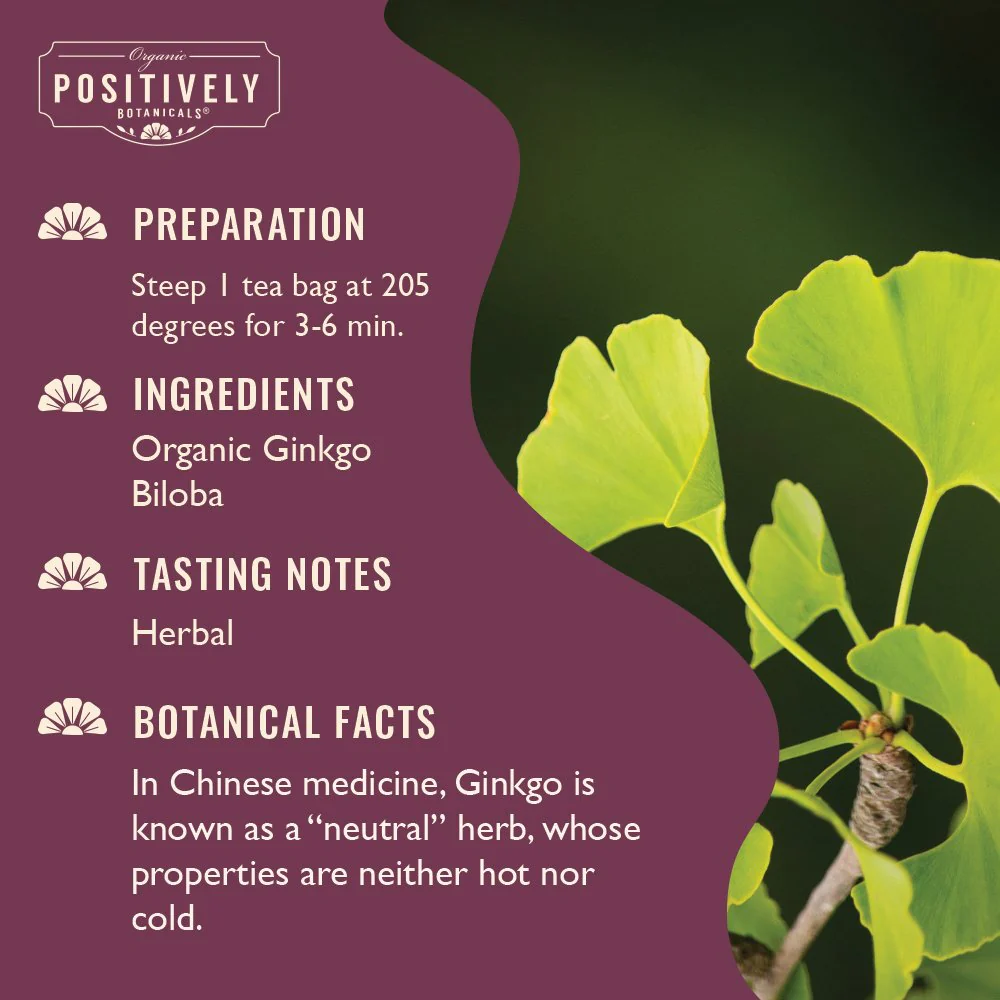 Organic Ginkgo Biloba - Botanical Tea Bags - Image 2