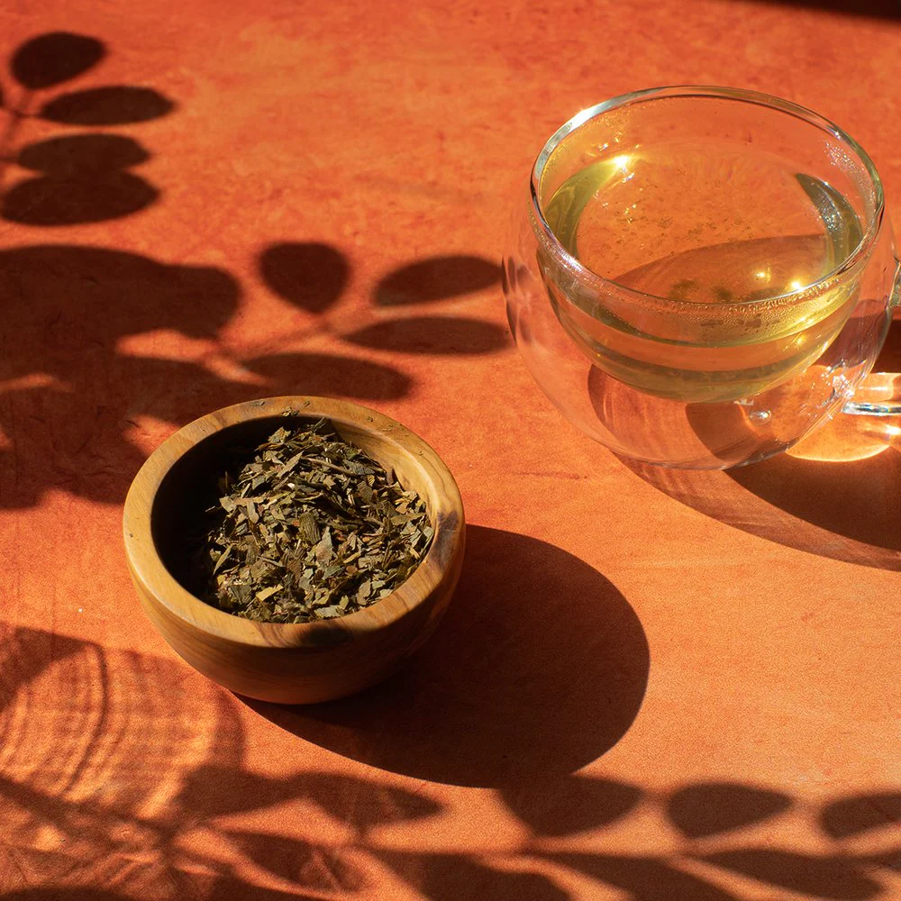 Organic Ginkgo Biloba - Botanical Tea Bags - Image 3