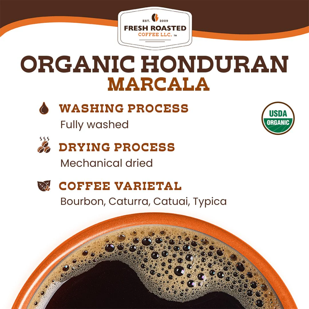 Organic Honduran Marcala - Roasted Coffee - Image 10