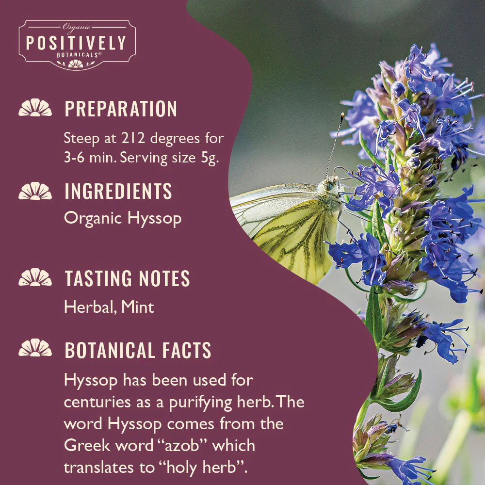 Organic Hyssop - Loose Leaf Botanical - Image 5