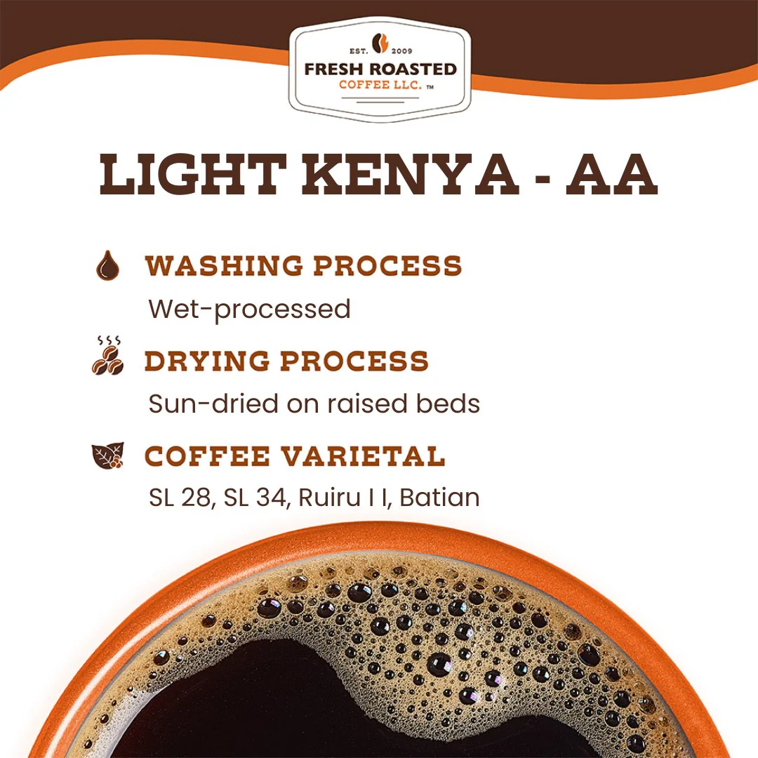 Light Kenya AA - Roasted Coffee - Image 8