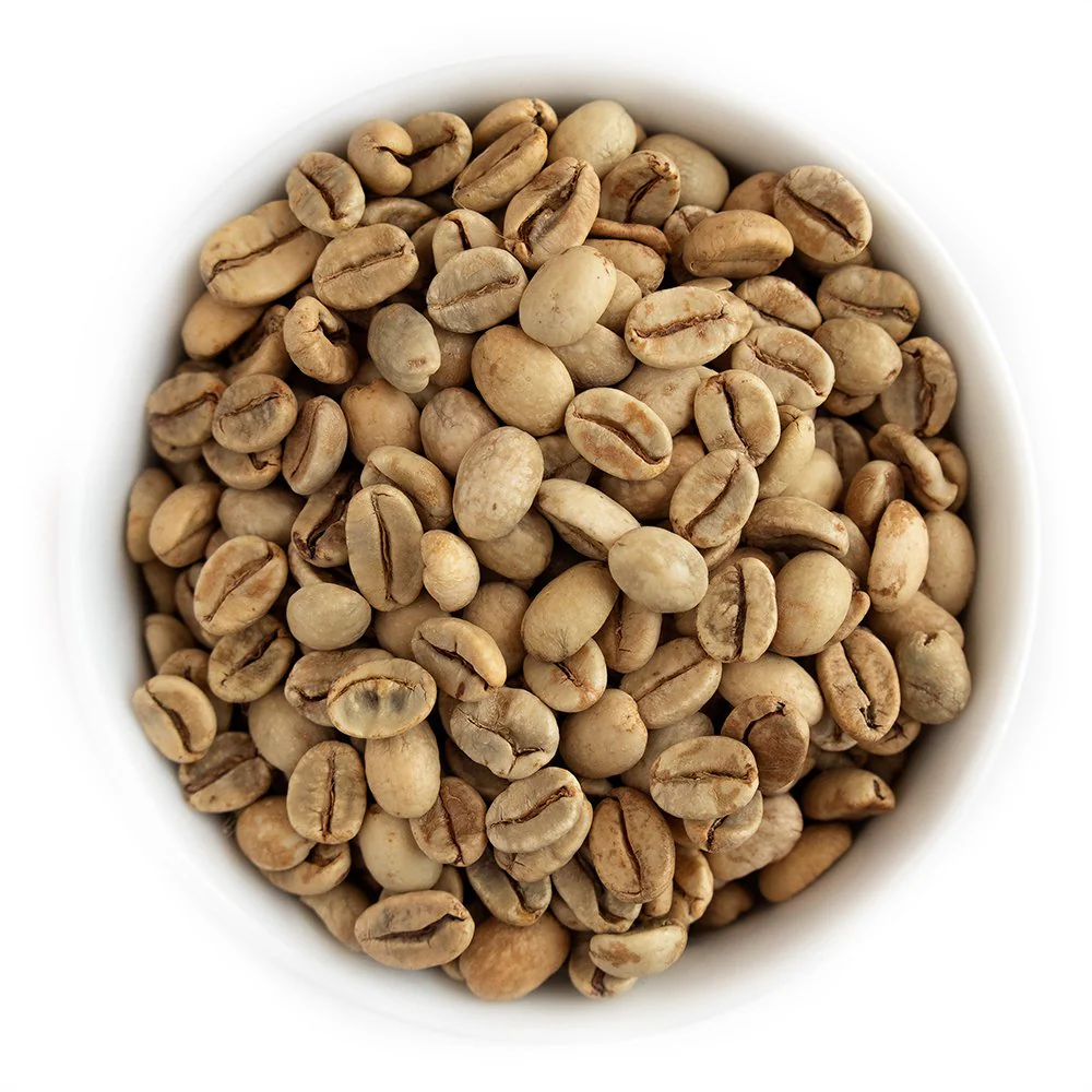 Indian Monsoon Malabar - Unroasted Coffee - Image 3