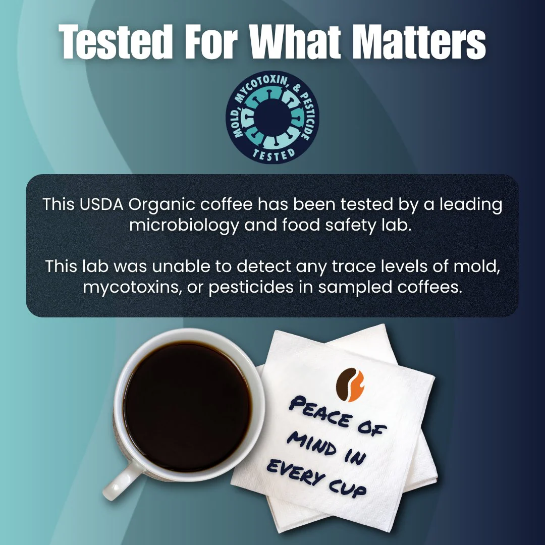 Organic Montezuma Sunrise - Roasted Coffee - Image 10