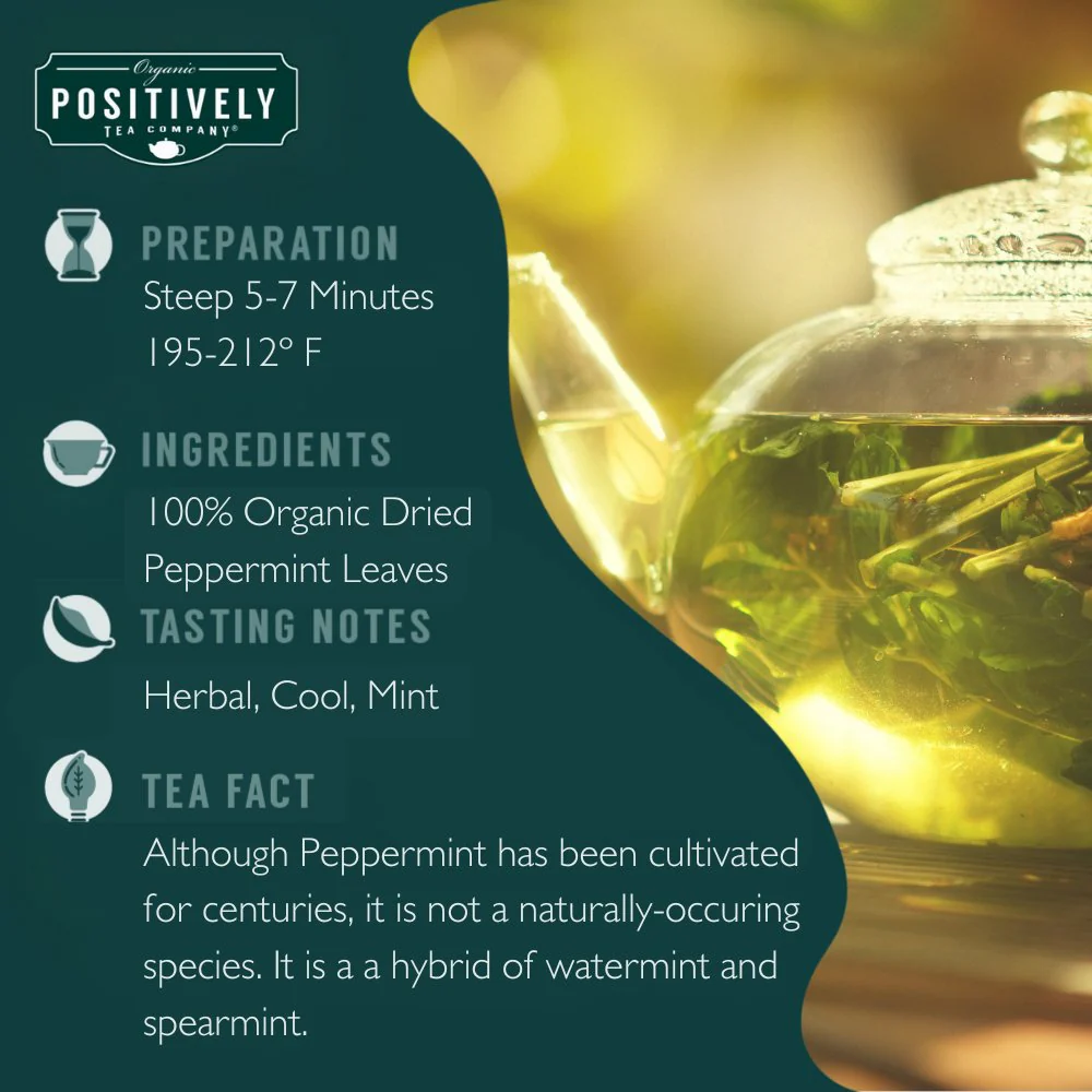 Organic Peppermint Leaf Herbal - Loose Leaf Tisane - Image 6