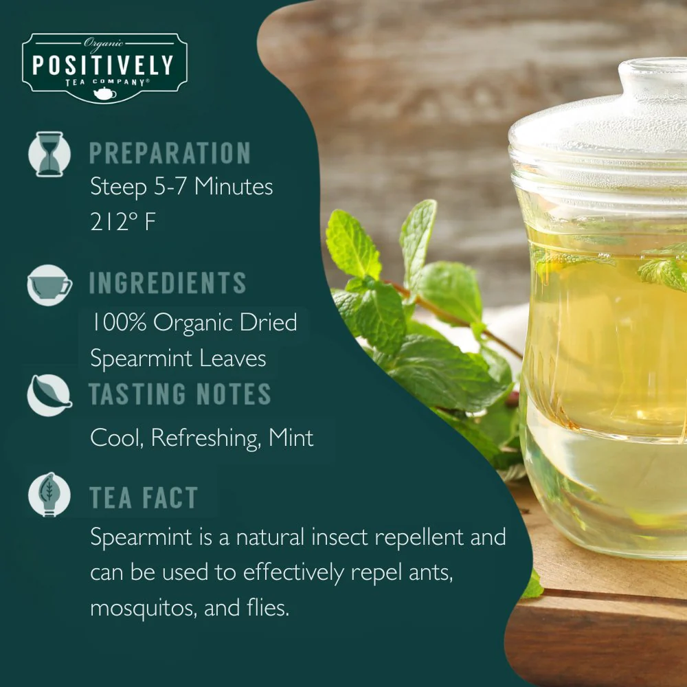 Organic Spearmint Leaf Herbal - Loose Leaf Tisane - Image 6