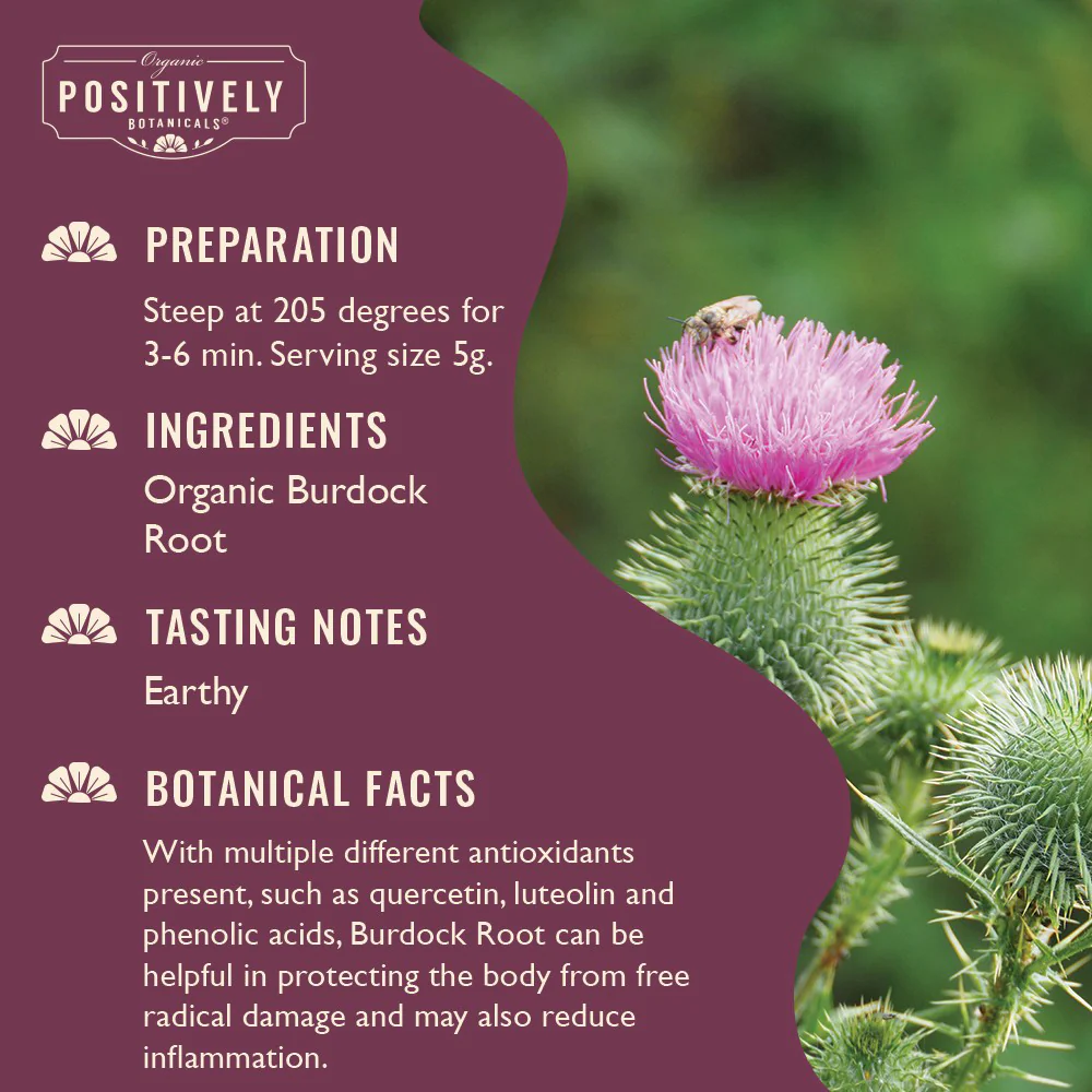 Organic Burdock Root - Loose Leaf Botanical - Image 5