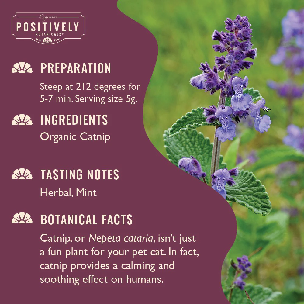 Organic Catnip - Loose Leaf Botanical - Image 5