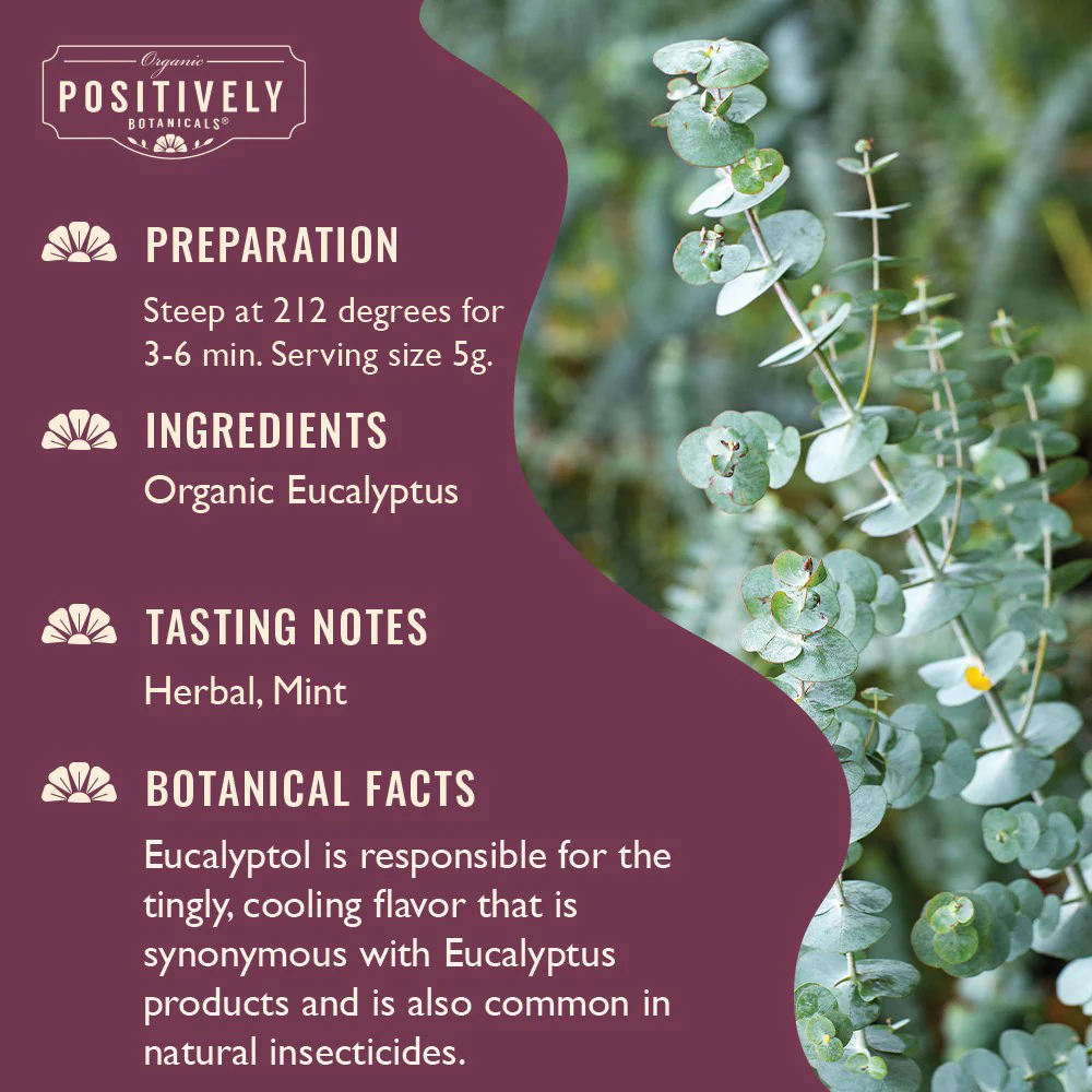 Organic Eucalyptus - Loose Leaf Botanical - Image 5