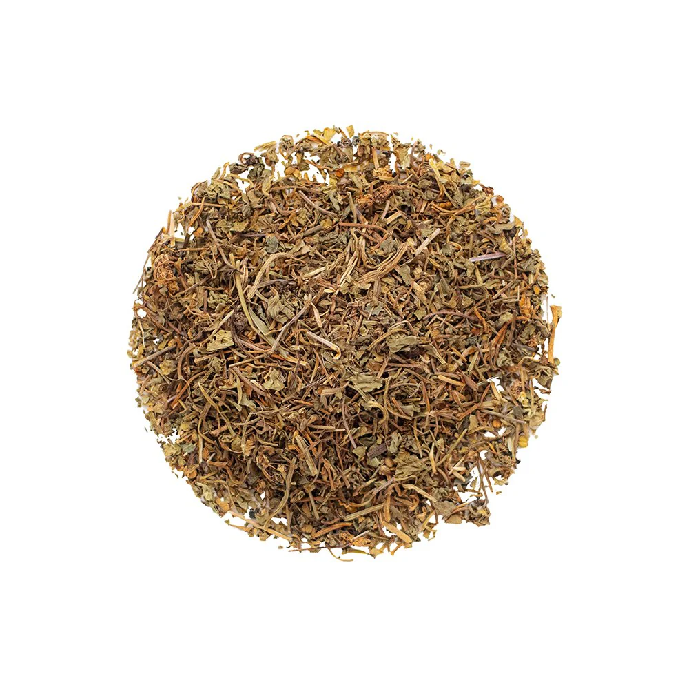 Organic Gotu Kola - Loose Leaf Botanical - Image 3