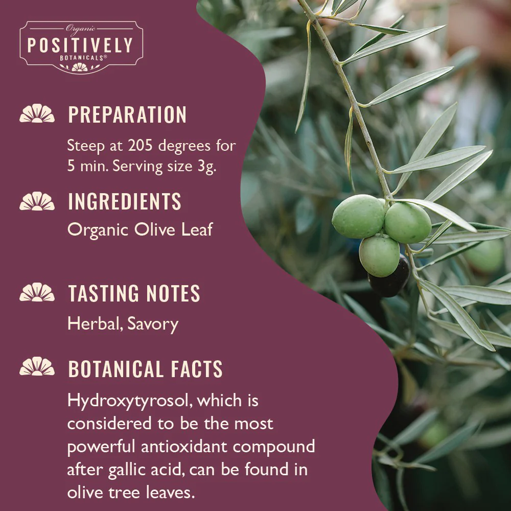 Organic Olive Leaf - Loose Leaf Botanical - Image 5