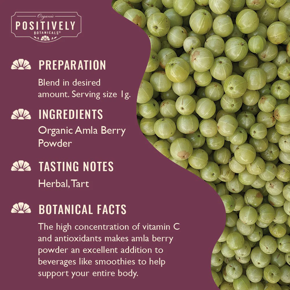 Organic Amla Berry - Botanical Powder - Image 5