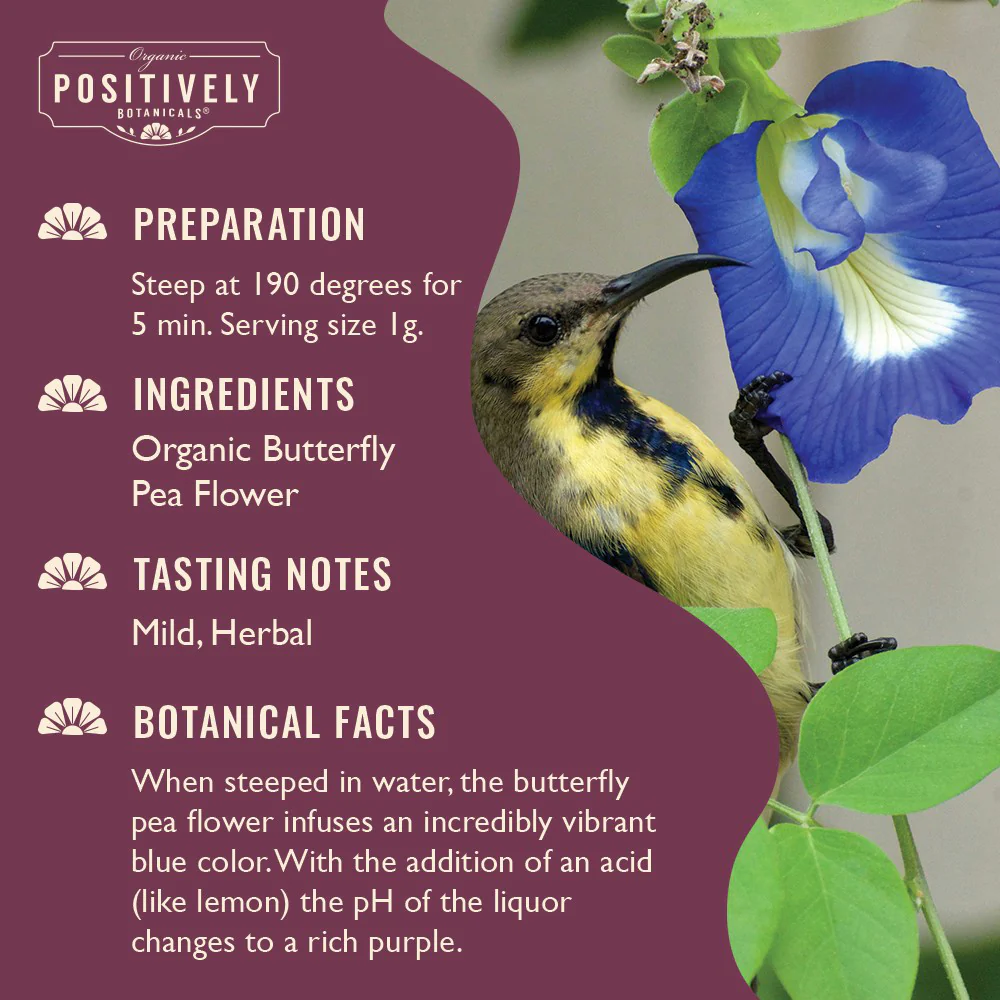 Organic Butterfly Pea Flower - Botanical Powder - Image 5