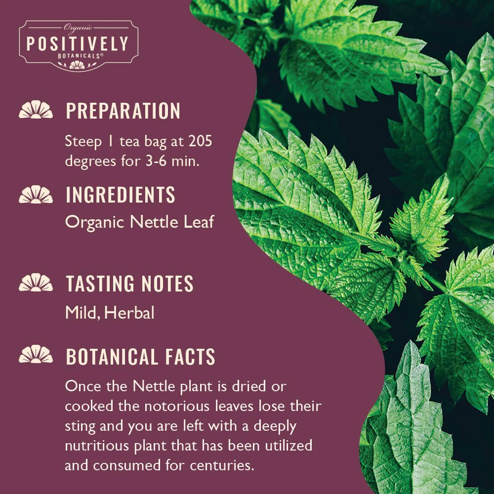 Organic Nettle Leaf - Botanical Tea Bags - Image 3