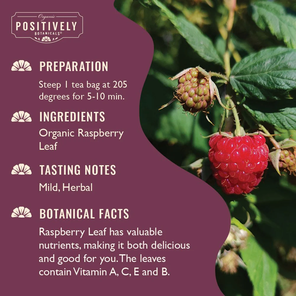 Organic Raspberry Leaf - Botanical Tea Bags - Image 4