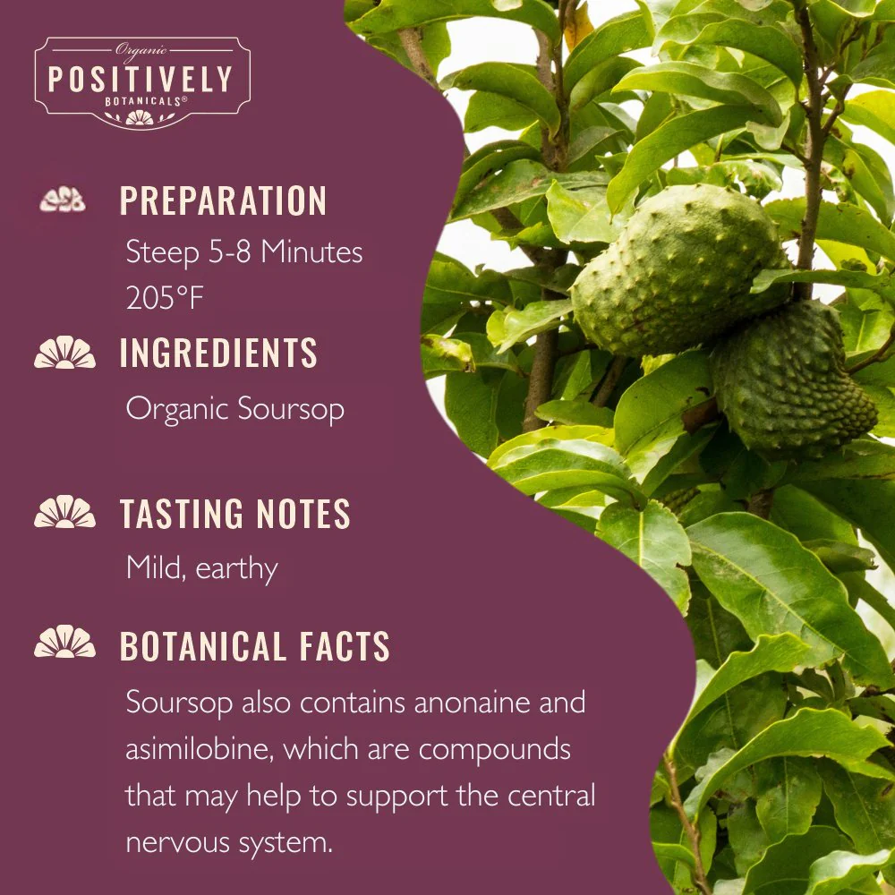 Organic Soursop - Botanical Tea Bags - Image 4
