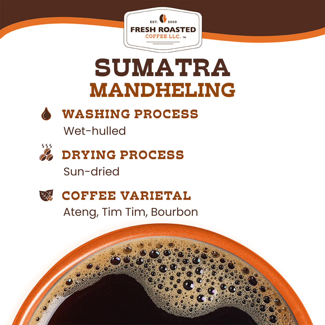 Sumatra Mandheling - Classic Coffee Pods - Image 7