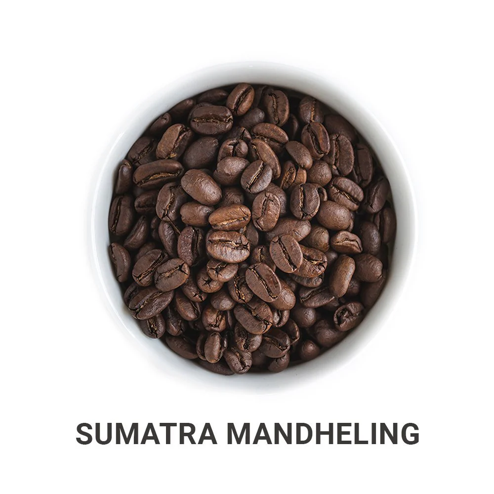 Tour of the Indo-Pacific - Roasted Coffee Bundle - Image 5