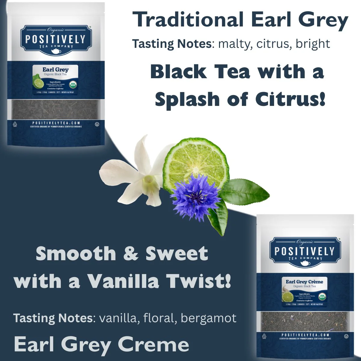 Organic Traditional Earl Grey - Tea Bags - Image 4